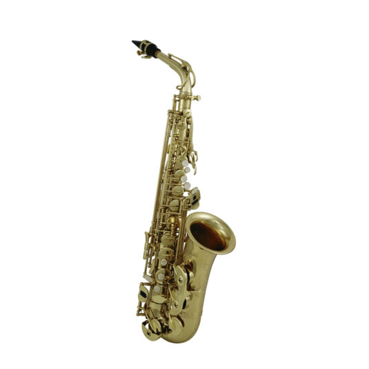 Saksofon Roy Benson AS302