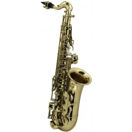 Saksofon Roy Benson AS 201