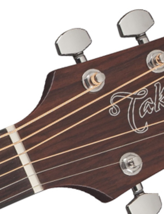 Takamine GD10CE-NS gitara elektroakustyczna