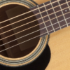 Takamine GD10-NS gitara akustyczna